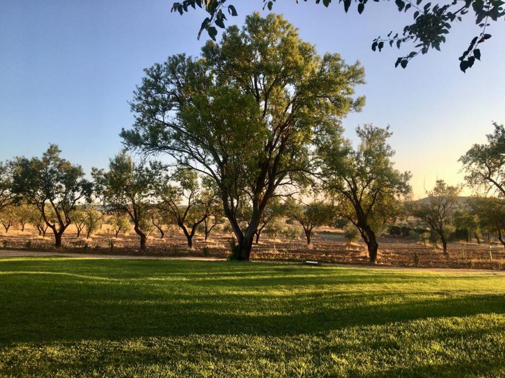 Finca El Relax Colmenar de Oreja Bagian luar foto